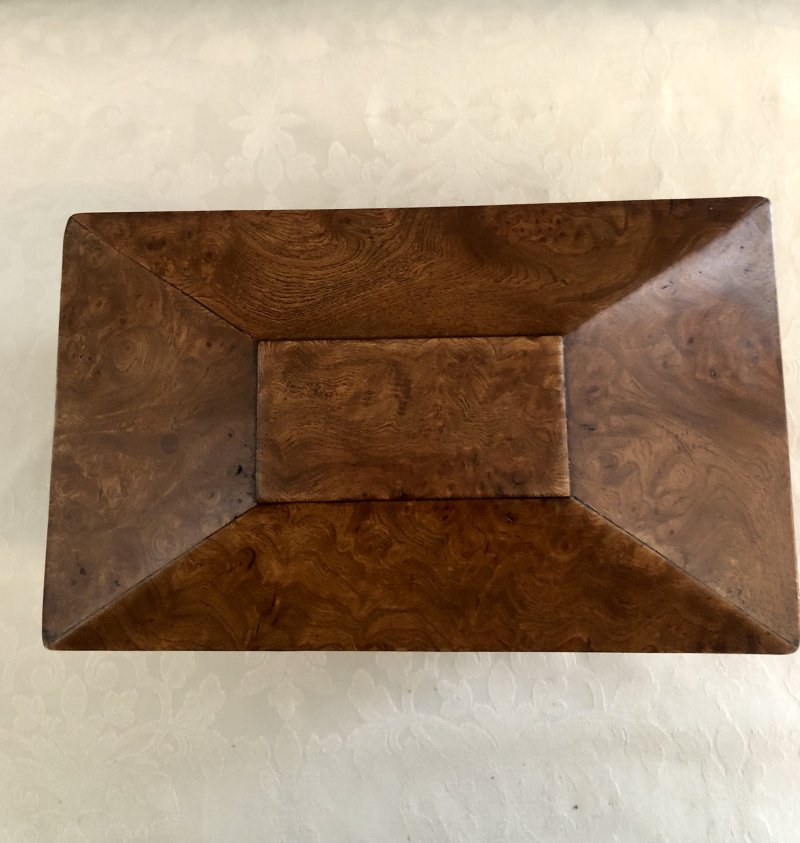 Antique Regency Sarcophagus Shaped  Burr Elm Tea Caddy - Image 5